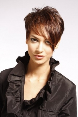 Lisa Jackson
For: Sophisticate's Hairstyle Guide, September 2009
