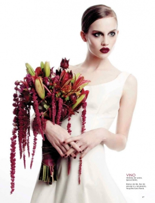 Erin Wagner
Photo: Jose Manuel Ruiz
For: Revista Vandidades Novias, Diciembre 2014
